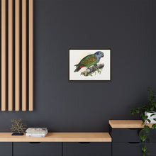 Red-Vented Parrot (Amazona martinicana) colored wood-engraved plate by Alexander Francis Lydon