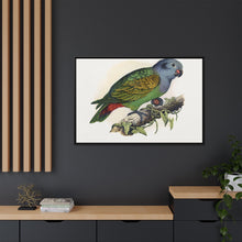 Red-Vented Parrot (Amazona martinicana) colored wood-engraved plate by Alexander Francis Lydon