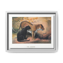 The Leopard from Zoological sketches (1861-1867) by Joseph Wolf and Philip Lutley Sclater - NOMADEN ART GALLERY