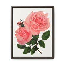 Pink Rose, La France Lithograph (1900) - NOMADEN ART GALLERY