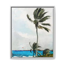 Palm Tree, Nassau (1898) by Winslow Homer - NOMADEN ART GALLERY
