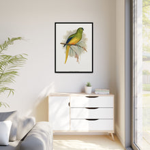Elegant Parrakeet (Neophema elegans) colored wood-engraved plate by Alexander Francis Lydon