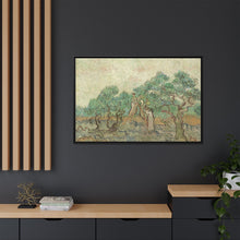 Vincent van Gogh's The Olive Orchard (1889) - NOMADEN ART GALLERY