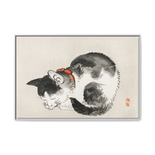 Sleeping cat by Kōno Bairei (1844-1895) - NOMADEN ART GALLERY