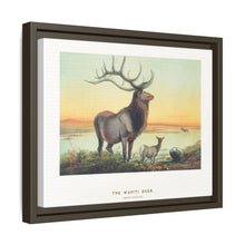The Wapiti from Zoological sketches (1861-1867) by Joseph Wolf and Philip Lutley Sclater