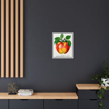 Wolf River Apple Lithograph | Vintage Botanical Wall Art Print