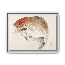 Tai (Red Seabream) fish by Kōno Bairei - NOMADEN ART GALLERY