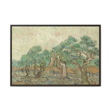 Vincent van Gogh's The Olive Orchard (1889) - Historical Art Canvas Print - NOMADEN ART GALLERY