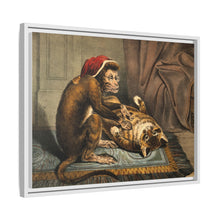 A monkey physician examining a cat patient for fleas. Coloured lithograph