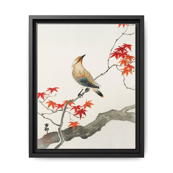 Japanese plague bird on maple (1900 - 1936) by Ohara Koson