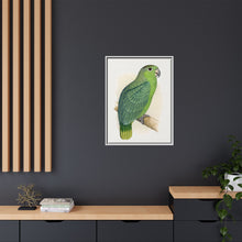 Mealy Amazon (Amazona farinosa) colored wood-engraved plate by Alexander Francis Lydon
