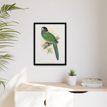 Lydon's Yellow-Naped Parrakeet | Vintage Bird Wall Art Print