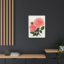Pink Rose, La France Lithograph (1900)