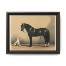 Orloffer (Orloff Horse) by Emil Volkers (1880) - An illustration of a black horse and a white dog - NOMADEN ART GALLERY