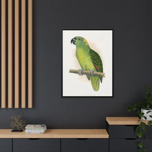 Lydon's Yellow-Naped Amazon | Vintage Parrot Wall Art Print