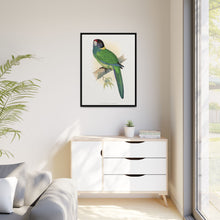 Lydon's Yellow-Naped Parrakeet | Vintage Bird Wall Art Print
