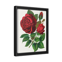 Red Rose, Prince Camille De Rohan Lithograph - NOMADEN ART GALLERY