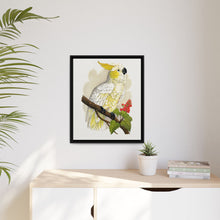 Kleiner Zitronenhaubenkakadu (Cacatua sulphurea) farbige Holzstichplatte von Alexander Francis Lydon