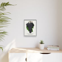 Early Ohio grape lithograph. Digitally enhanced from our own original 1900 edition plates of Botanical Specimen published by Rochester Lithographing