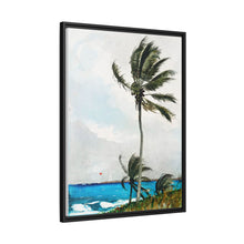 Palm Tree, Nassau (1898) by Winslow Homer