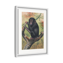 The Chimpanzee from Zoological sketches (1861-1867) by Joseph Wolf and Philip Lutley Sclater.