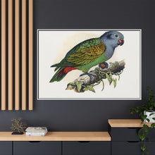 Red-Vented Parrot (Amazona martinicana) colored wood-engraved plate by Alexander Francis Lydon