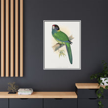 Lydon's Yellow-Naped Parrakeet | Vintage Bird Wall Art Print