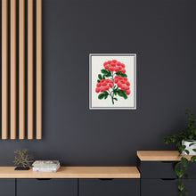 Paul's New Double Flowering Thorn lithograph. Digitally enhanced from our own original 1900 edition plates of Botanical Specimen published by Rochester Lithographing