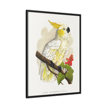 Kleiner Zitronenhaubenkakadu (Cacatua sulphurea) farbige Holzstichplatte von Alexander Francis Lydon