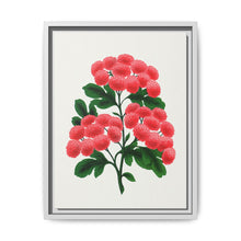 Paul's New Double Flowering Thorn lithograph. Digitally enhanced from our own original 1900 edition plates of Botanical Specimen published by Rochester Lithographing - NOMADEN ART GALLERY