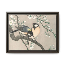 Tits on Cherry Branch (1900–1910) by Ohara Koson