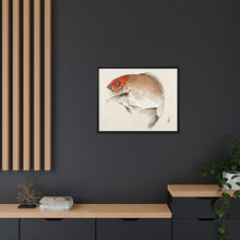 Tai (Red Seabream) fish by Kōno Bairei