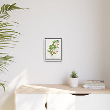 Spirea Aurea flowers lithograph. Digitally enhanced from our own original 1900 edition plates of Botanical Specimen published by Rochester Lithographing
