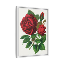 Red Rose, Prince Camille De Rohan Lithograph