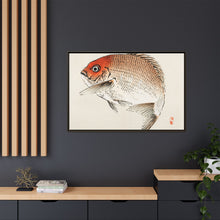 Tai (Red Seabream) fish by Kōno Bairei