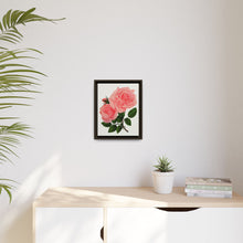 Pink Rose, La France Lithograph (1900)