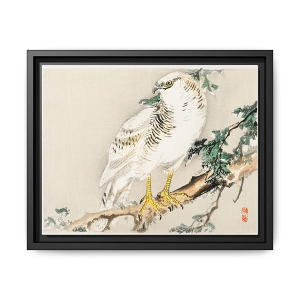 Northern mockingbird by Kōno Bairei (1844-1895) - NOMADEN ART GALLERY