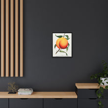 Foster peach lithograph. Digitally enhanced from our own original 1900 edition plates of Botanical Specimen published by Rochester Lithographing
