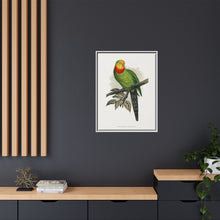 Barraband's Parakeet (Polytelis swainsonii) colored wood-engraved plate by Alexander Francis Lydon