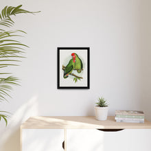 Rosy-Faced Love-Bird (Agapornis roseicollis) colored wood-engraved plate by Alexander Francis Lydon.