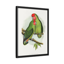 Rosy-Faced Love-Bird (Agapornis roseicollis) colored wood-engraved plate by Alexander Francis Lydon.