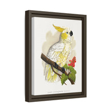 Kleiner Zitronenhaubenkakadu (Cacatua sulphurea) farbige Holzstichplatte von Alexander Francis Lydon