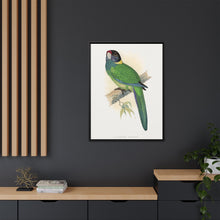 Lydon's Yellow-Naped Parrakeet | Vintage Bird Wall Art Print