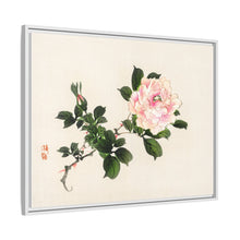 Pink rose by Kōno Bairei (1844-1895)