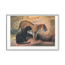 The Leopard from Zoological sketches (1861-1867) by Joseph Wolf and Philip Lutley Sclater - NOMADEN ART GALLERY