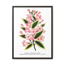Pink flowers, Weigela lithograph (1900) - NOMADEN ART GALLERY