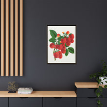 Shaffer's Colossal Raspberry Lithograph (1900)