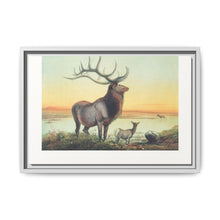 The Wapiti from Zoological sketches (1861-1867) by Joseph Wolf and Philip Lutley Sclater - NOMADEN ART GALLERY