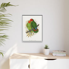 Lydon's West African Love-Bird | Vintage Avian Wall Art Print