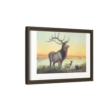 The Wapiti from Zoological sketches (1861-1867) by Joseph Wolf and Philip Lutley Sclater